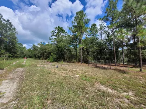 0 NE 3rd Pl, Williston, FL 32696 photo 6