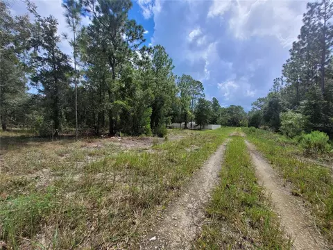 0 NE 3rd Pl, Williston, FL 32696 photo 9