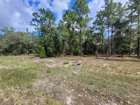 0 NE 3rd Pl, Williston, FL 32696 photo 5