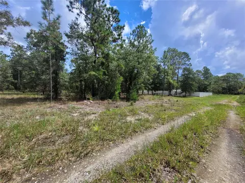 0 NE 3rd Pl, Williston, FL 32696 photo 4