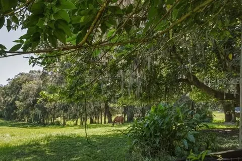 Other - 14755 NW 42nd Ct, Reddick, FL 32686 photo 15 of 17