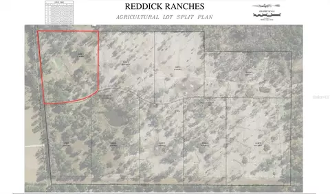 Nw 160th Street, Reddick, FL 32686 photo 3