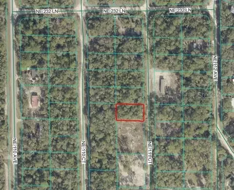 Ne 111 Court, Fort Mc Coy, FL 32134