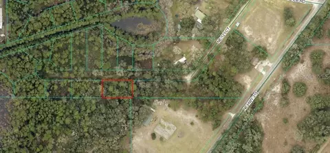 Ne 121 Ct, Fort Mc Coy, FL 32134