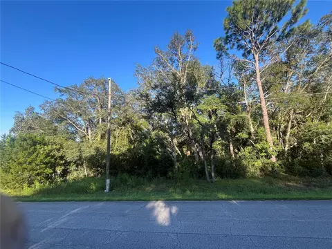 tbd SE 94th Ave, Belleview, FL 34420 photo 5