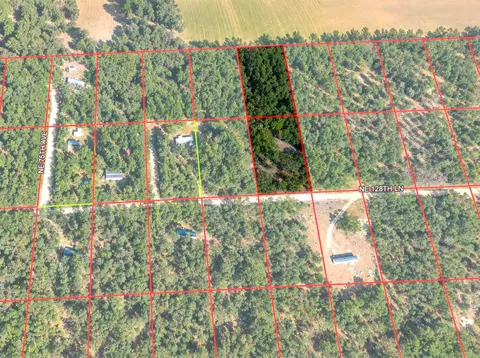 View/Area - 7651 NE 128th Ln, Bronson, FL 32621 photo 1 of 1
