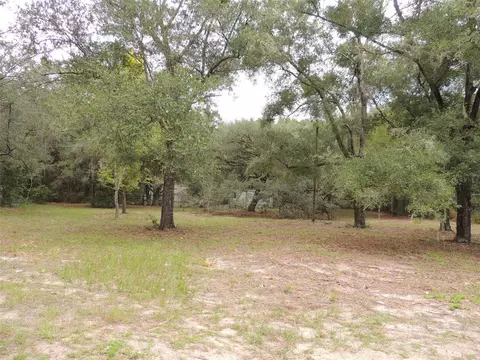 Exterior - 7651 NE 128th Ln, Bronson, FL 32621 photo 11 of 15