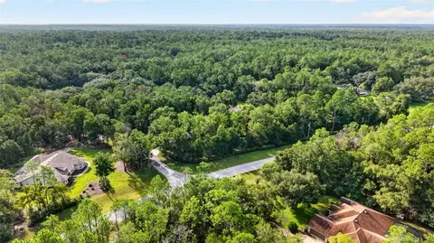 View/Area - 21675 SW 84th Loop, Dunnellon, FL 34431 photo 7 of 18