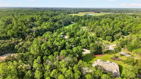 View/Area - 21675 SW 84th Loop, Dunnellon, FL 34431 photo 5 of 18