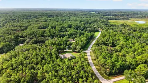 View/Area - 21675 SW 84th Loop, Dunnellon, FL 34431 photo 8 of 18