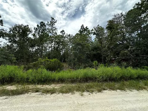 0000 NE 149th Ct, Williston, FL 32696 photo 3