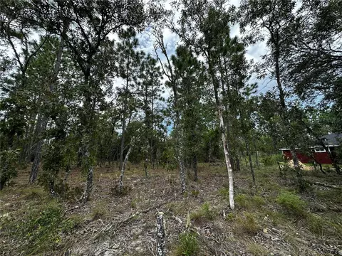 0000 NE 149th Ct, Williston, FL 32696 photo 7