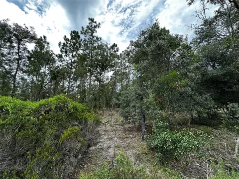 0000 NE 149th Ct, Williston, FL 32696 photo 8