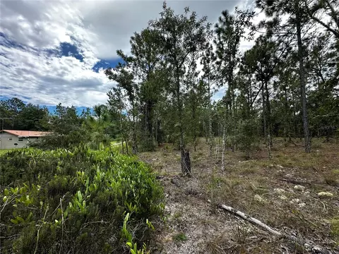0000 NE 149th Ct, Williston, FL 32696 photo 6