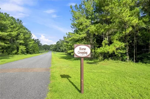 tbd NW 141st Ave, Williston, FL 32696 photo 6