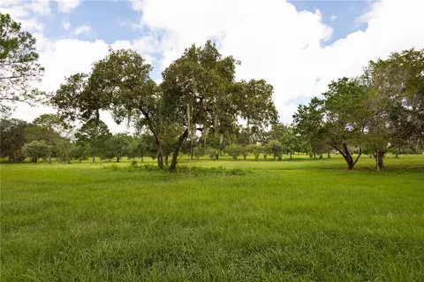 Other - Undisclosed, Williston, FL 32696 photo 14 of 14
