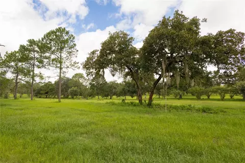 Other - Undisclosed, Williston, FL 32696 photo 2 of 14