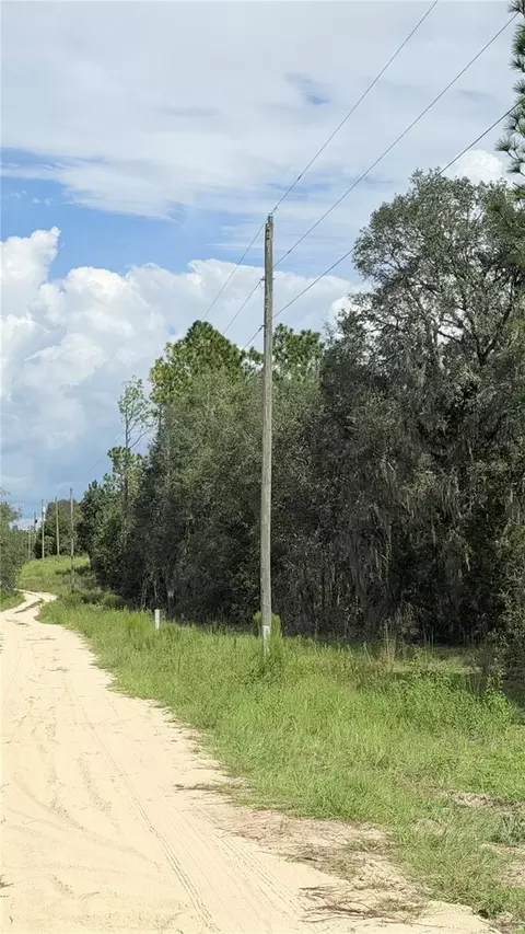 NE 65th Street, Williston, FL 32696 photo 3