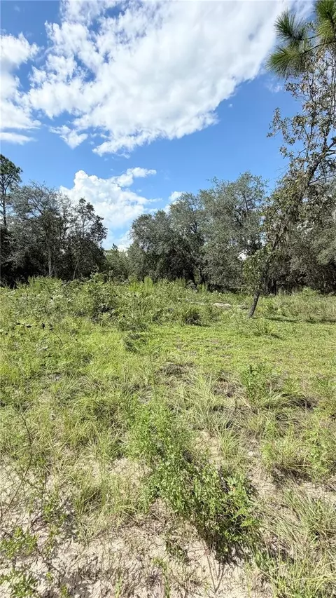 NE 65th Street, Williston, FL 32696 photo 6