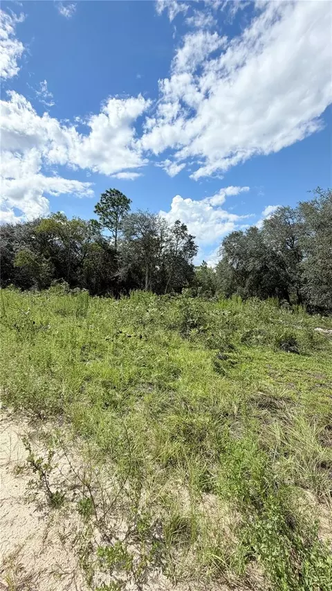 NE 65th Street, Williston, FL 32696 photo 8