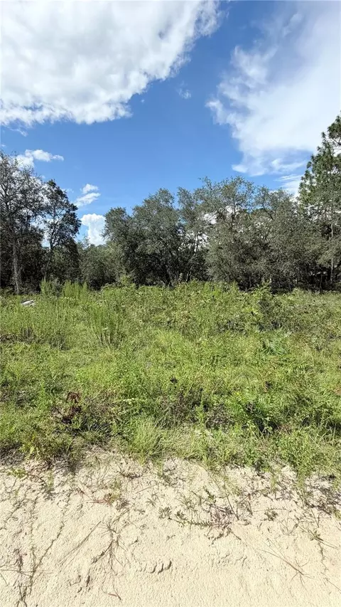 NE 65th Street, Williston, FL 32696 photo 4
