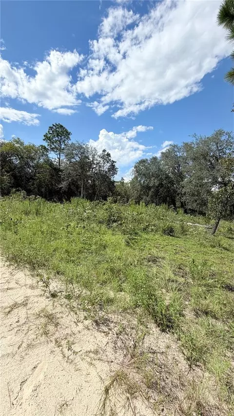 NE 65th Street, Williston, FL 32696 photo 5