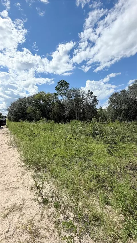 NE 65th Street, Williston, FL 32696 photo 7
