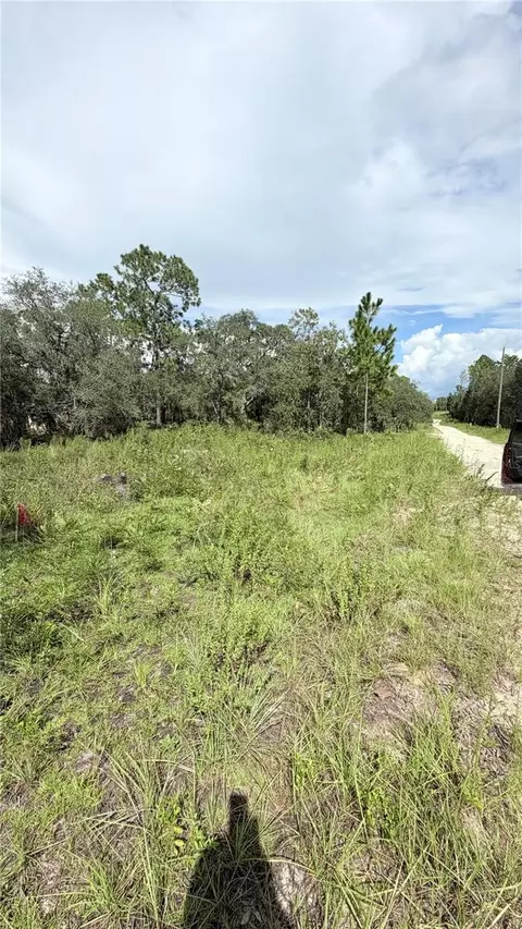 NE 65th Street, Williston, FL 32696 photo 2