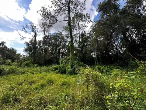 418 N Pine St, Bronson, FL 32621 photo 19