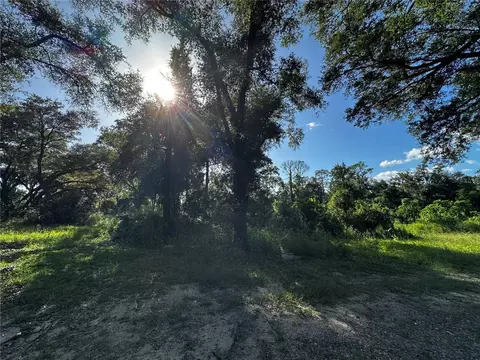 418 N Pine St, Bronson, FL 32621 photo 55