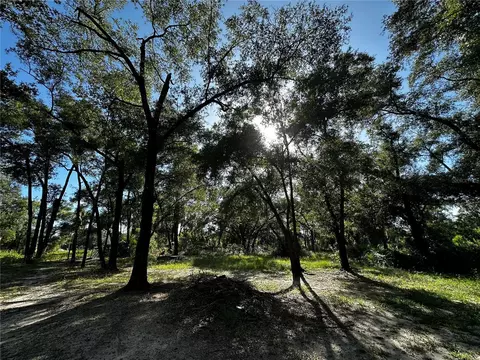 418 N Pine St, Bronson, FL 32621 photo 51