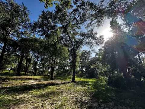 418 N Pine St, Bronson, FL 32621 photo 56