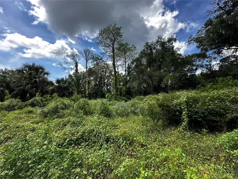 418 N Pine St, Bronson, FL 32621 photo 18