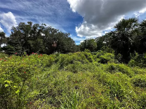 418 N Pine St, Bronson, FL 32621 photo 21