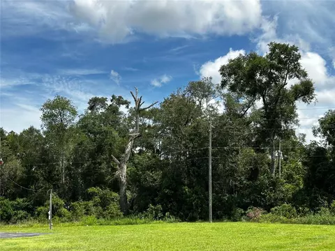 418 N Pine St, Bronson, FL 32621 photo 13