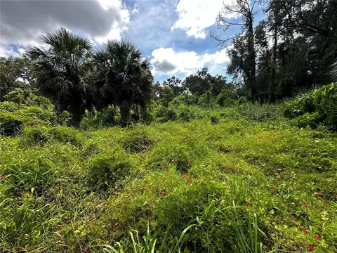 418 N Pine St, Bronson, FL 32621 photo 20