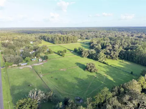 View/Area - 11690 NW 160th St, Reddick, FL 32686 photo 9 of 9
