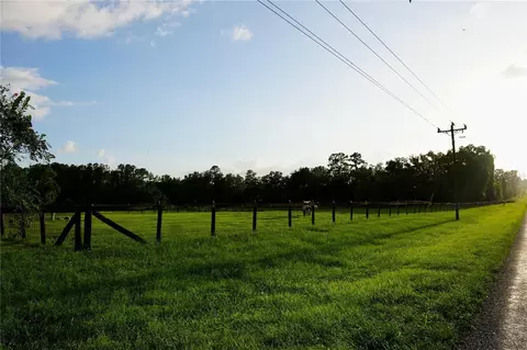 Other - 11690 NW 160th St, Reddick, FL 32686 photo 12 of 17