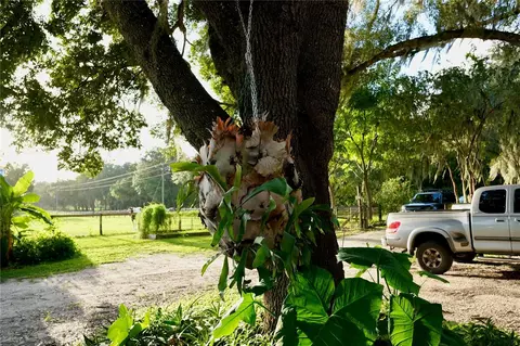 Exterior - 11690 NW 160th St, Reddick, FL 32686 photo 22 of 22