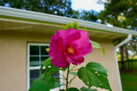 Other - 11690 NW 160th St, Reddick, FL 32686 photo 13 of 17