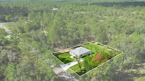 View/Area - 1570 NE 152nd Ct, Williston, FL 32696 photo 2 of 7