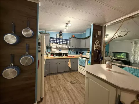11110 SE 66th Ter, Belleview, FL 34420 photo 7