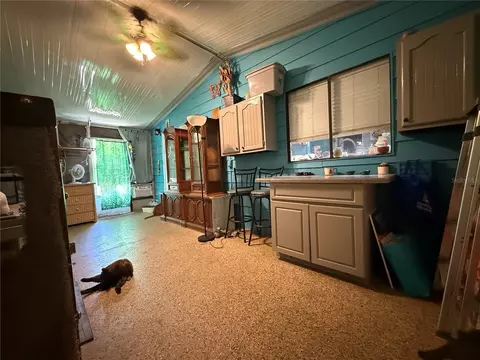 11110 SE 66th Ter, Belleview, FL 34420 photo 35
