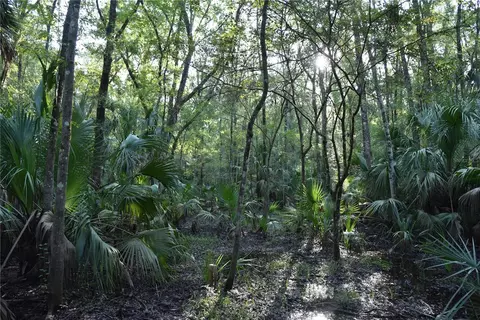 Middle Road, Hilliard, FL 32046 photo 13
