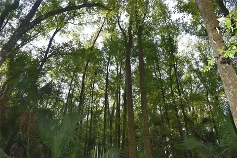 Middle Road, Hilliard, FL 32046 photo 17
