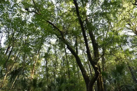 Middle Road, Hilliard, FL 32046 photo 14