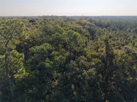 Middle Road, Hilliard, FL 32046 photo 42
