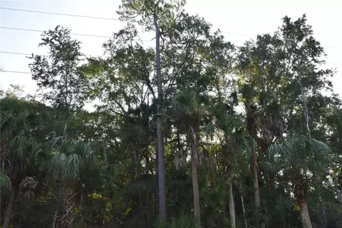 Middle Road, Hilliard, FL 32046 photo 8