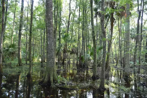 Middle Road, Hilliard, FL 32046 photo 25