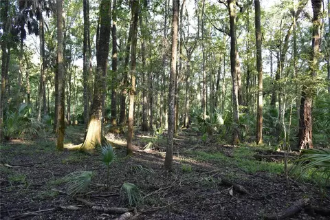 Middle Road, Hilliard, FL 32046 photo 18